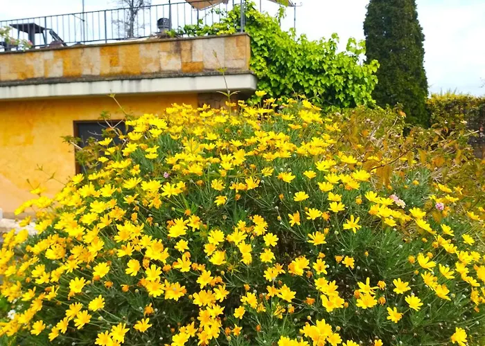 לינה וארוחת בוקר La Valle Dei Casali Boutique