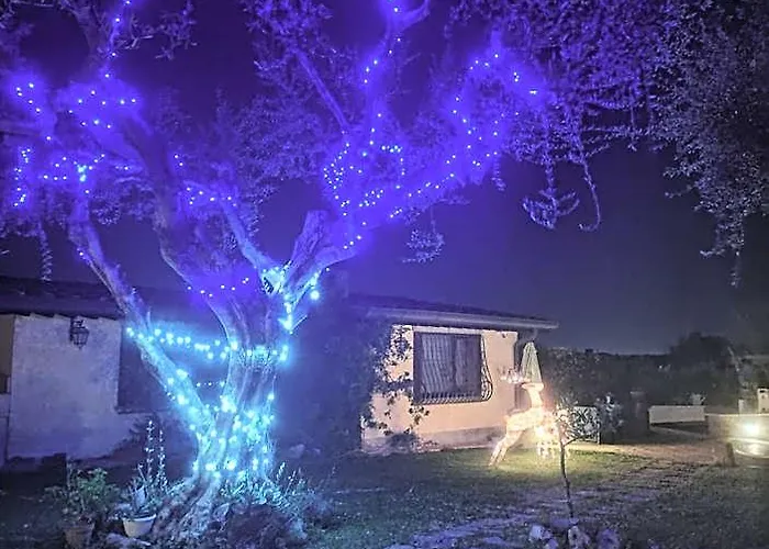 לינה וארוחת בוקר La Valle Dei Casali Boutique רומא